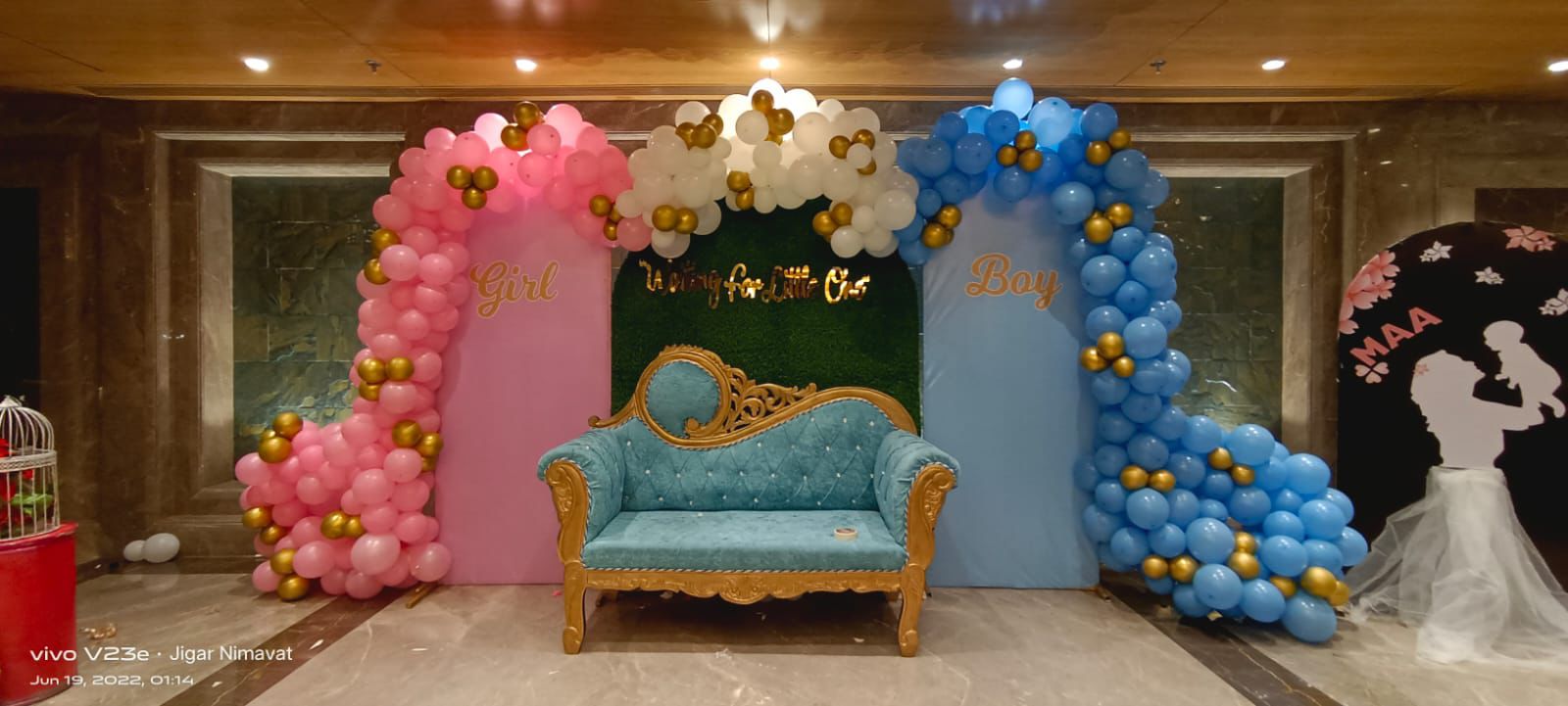 Boy or Girl Gender Reveal Arch